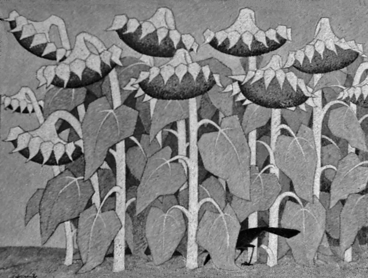 Sunflowers, 1963